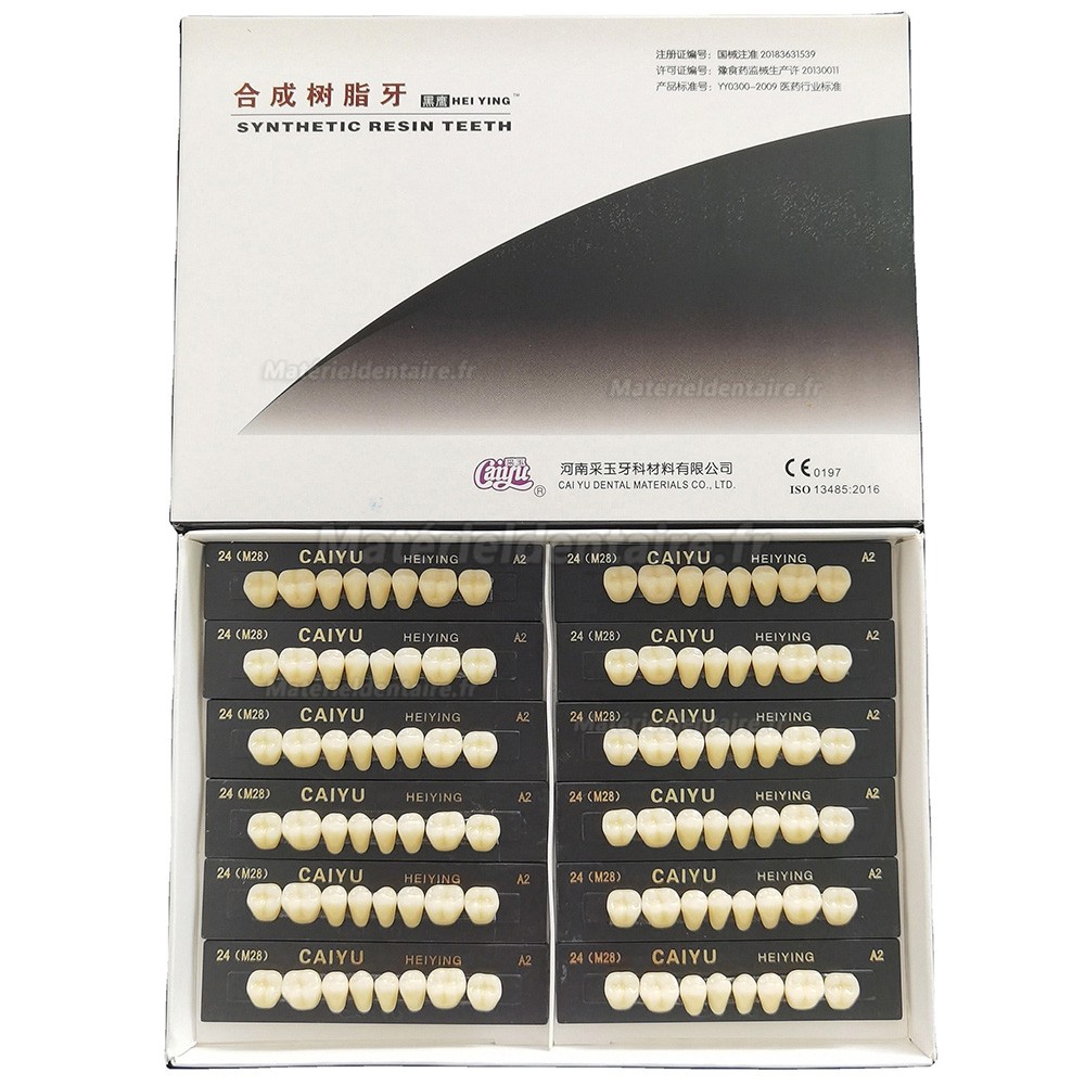 Prothèse dentaire en résine polymère synthétique acrylique Caiyu Heiying (Upper/Lower Back Teeth)